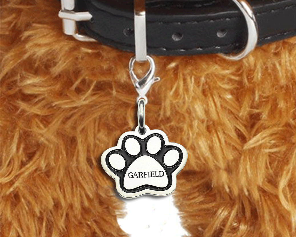 We adopted a kitten! | BELLE FEVER Personalised Jewellery