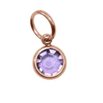 Choose 4th ROSE GOLD Hanging Birthstone Charm (Optional) - Options Variants
